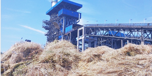 1209528942
